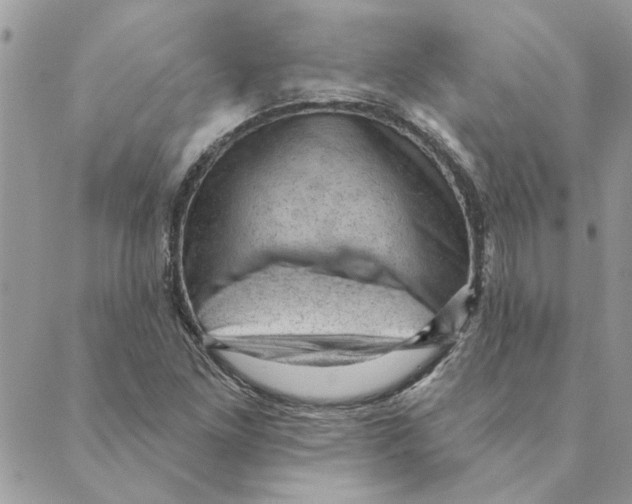 X0000088831261200707051413