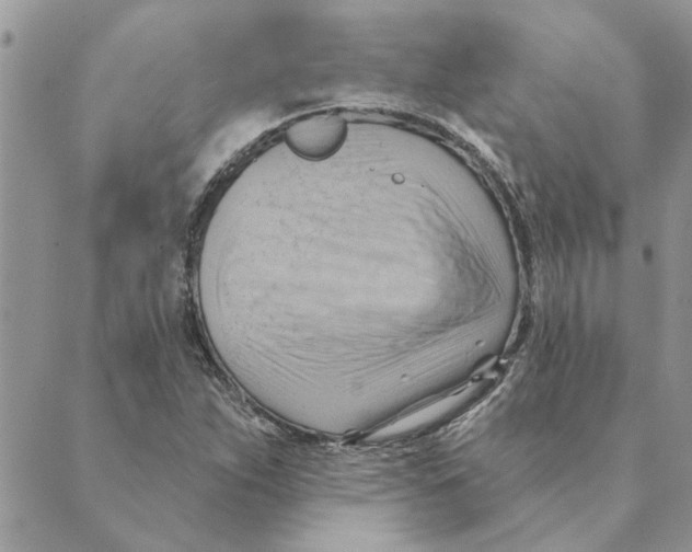 X0000088831263200707051413