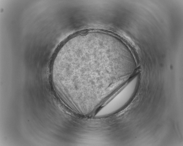 X0000088831264200707051413