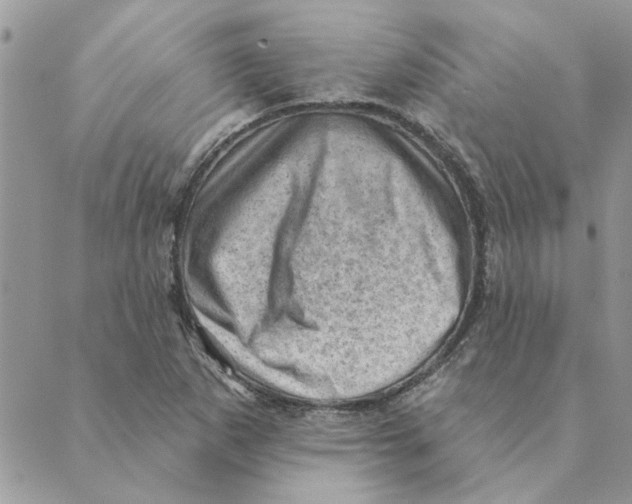 X0000088831265200707051413