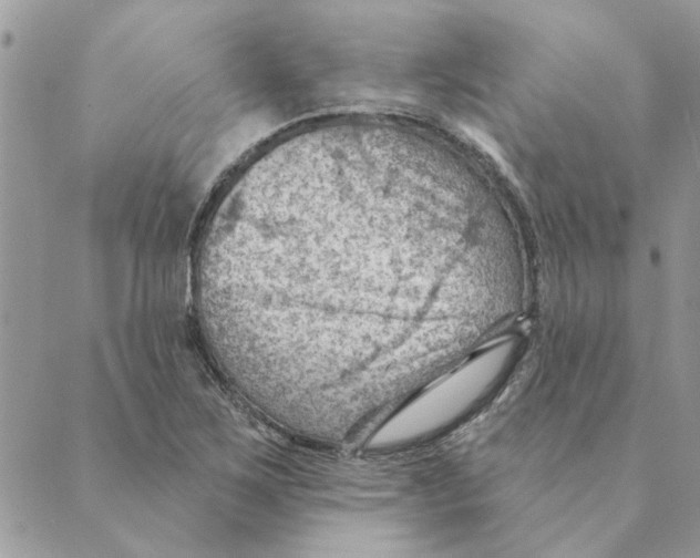 X0000088831267200707051413