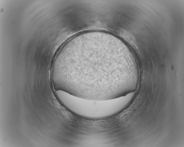 X0000088831268200707051413