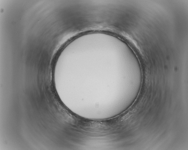 X0000088831270200707051413