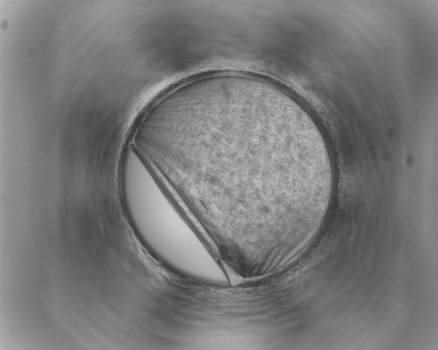 X0000088831272200707051413