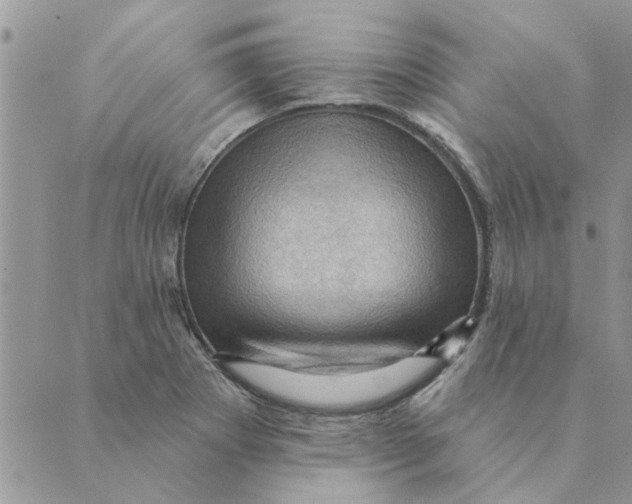 X0000088831273200707051413