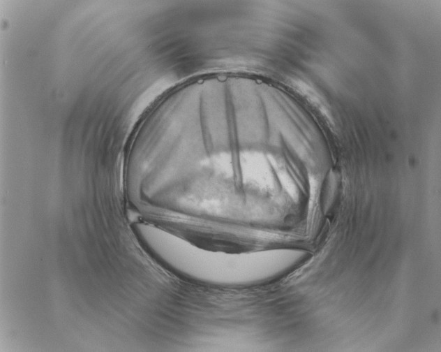 X0000088831275200707051413