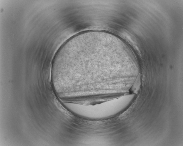 X0000088831276200707051413