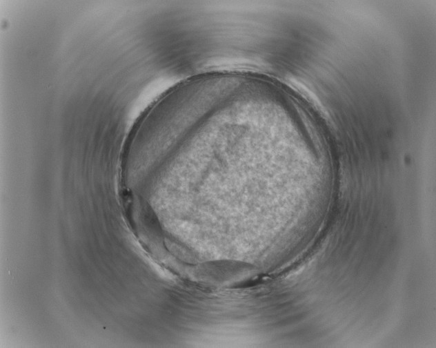 X0000088831277200707051413