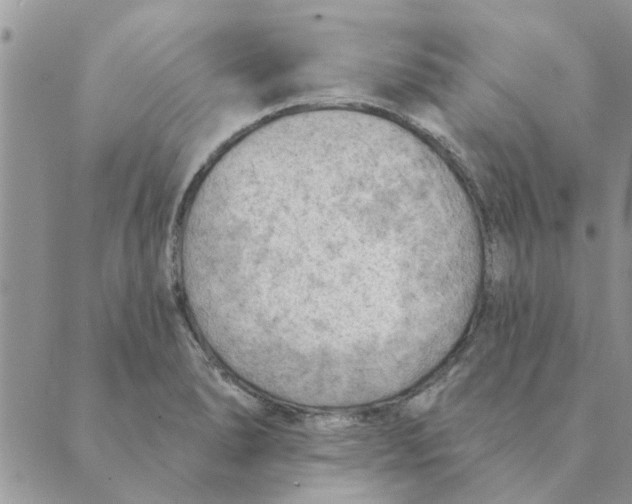 X0000088831278200707051413