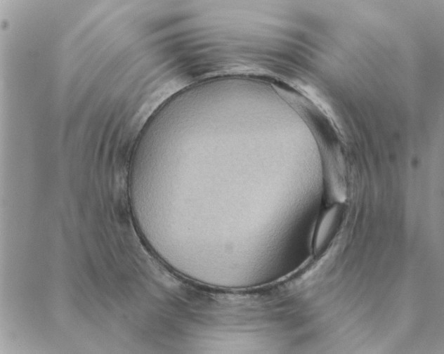 X0000088831281200707051413