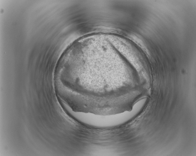 X0000088831283200707051413