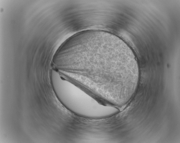 X0000088831284200707051413