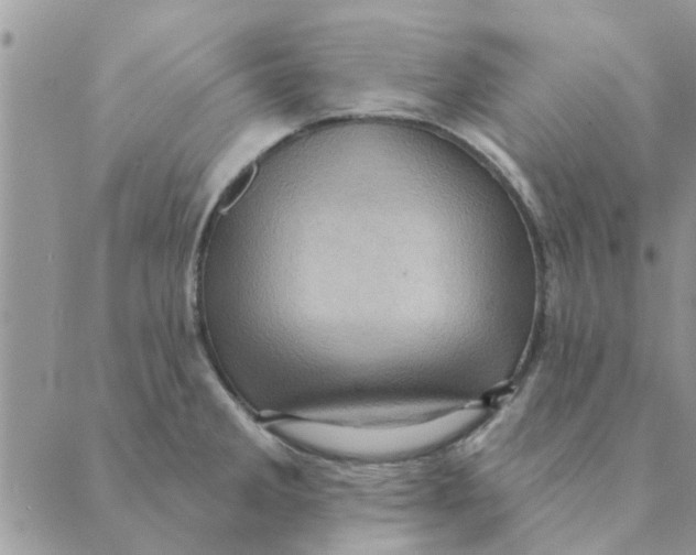 X0000088831285200707051413