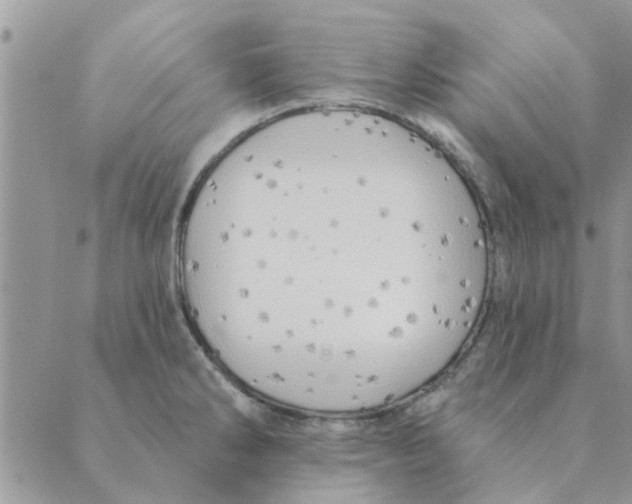 X0000088831286200707051413