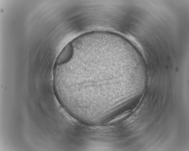 X0000088831287200707051413