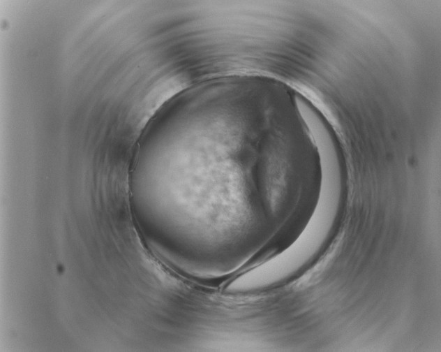 X0000088831289200707051413