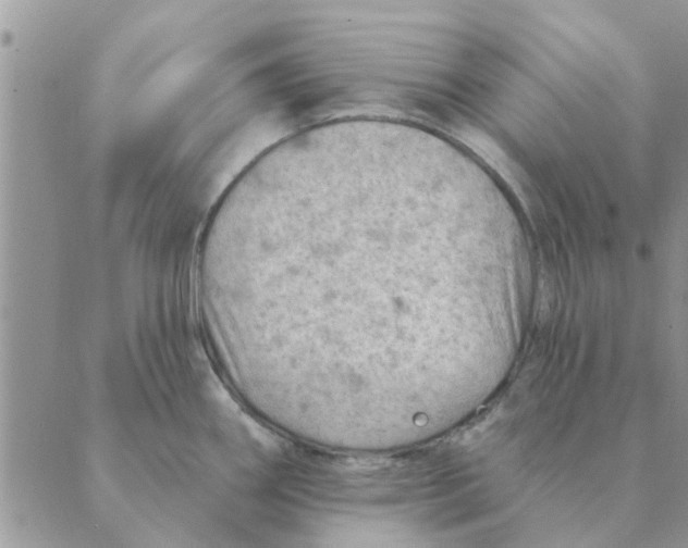 X0000088831290200707051413