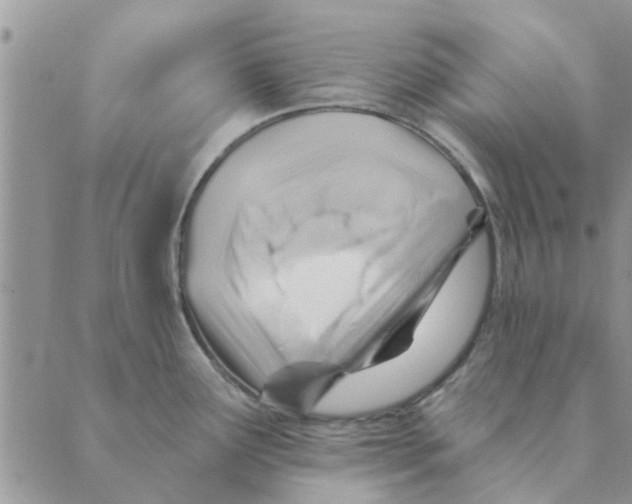 X0000088831291200707051413