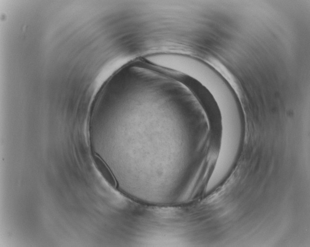 X0000088831293200707051413