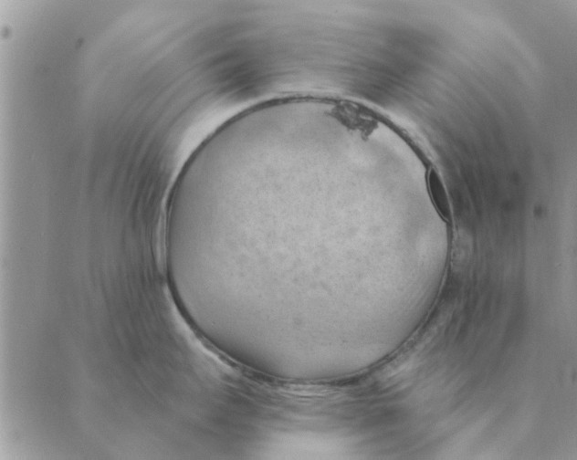 X0000088831295200707051413