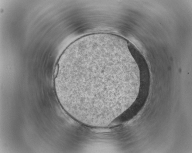 X0000088831296200707051413