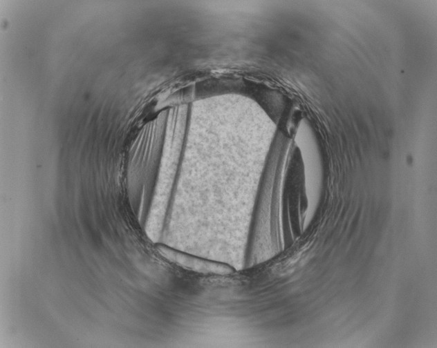 X0000088831300200707051412