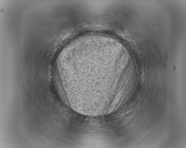 X0000088831301200707051412