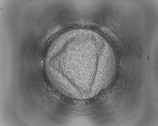 X0000088831302200707051412