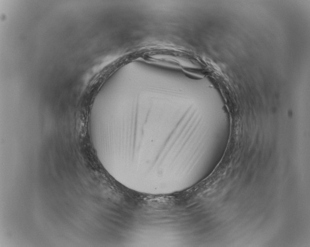 X0000088831303200707051412