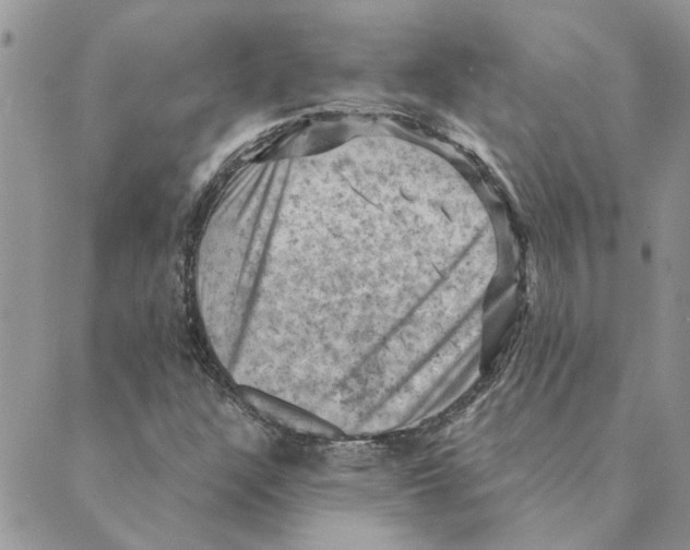 X0000088831304200707051412