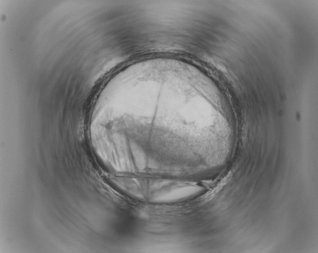 X0000088831306200707051412