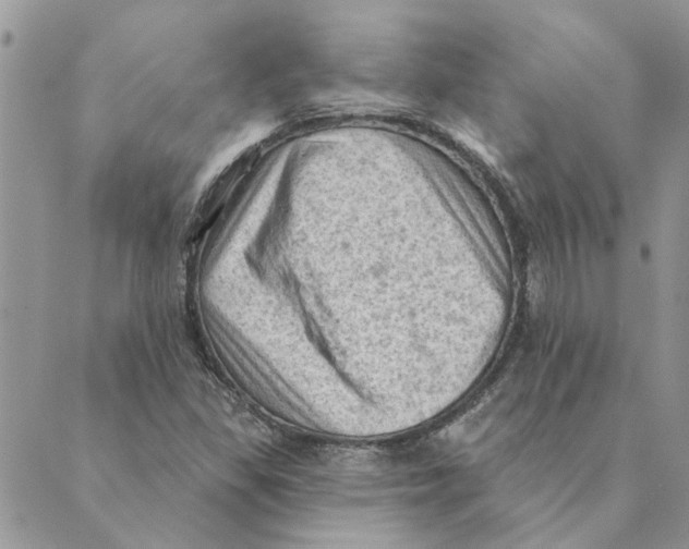 X0000088831309200707051412