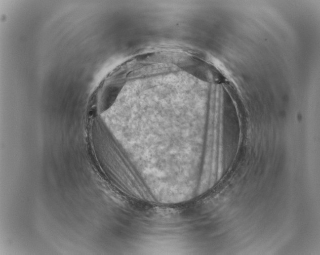 X0000088831312200707051412