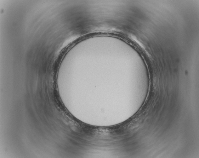 X0000088831315200707051412