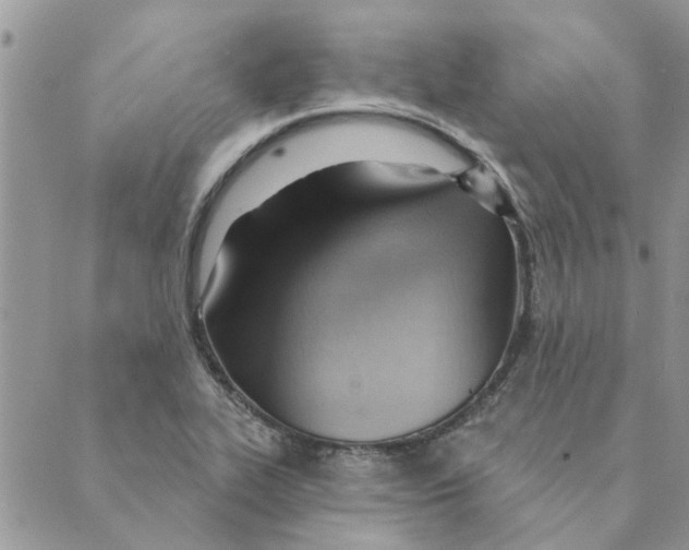 X0000088831319200707051412