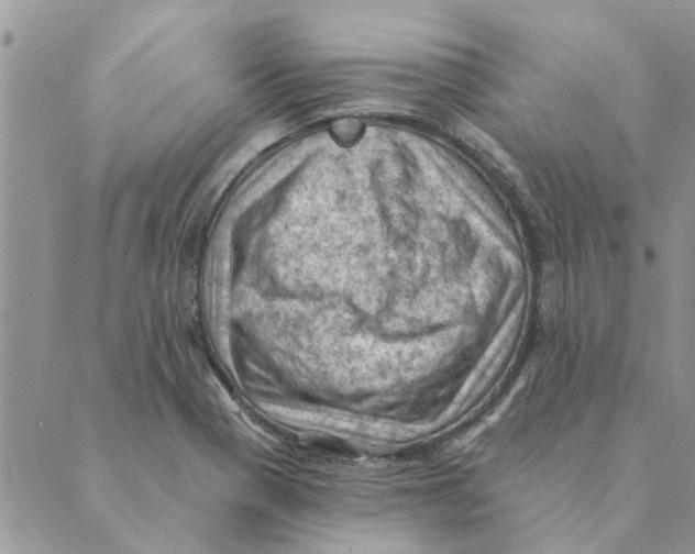 X0000088831321200707051412