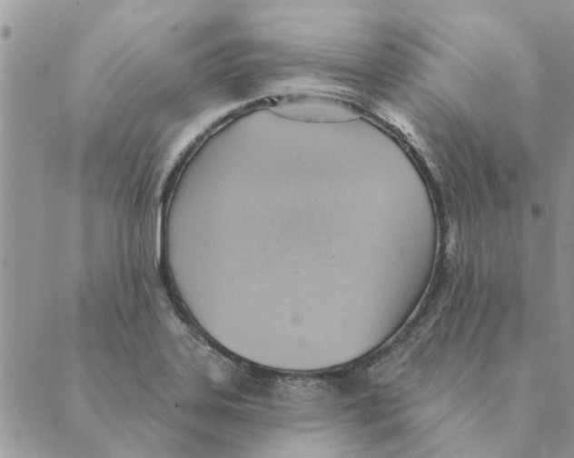 X0000088831323200707051412