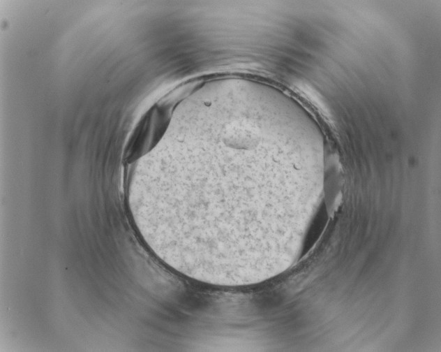 X0000088831324200707051412