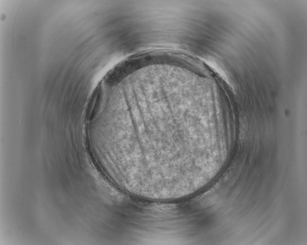 X0000088831325200707051412