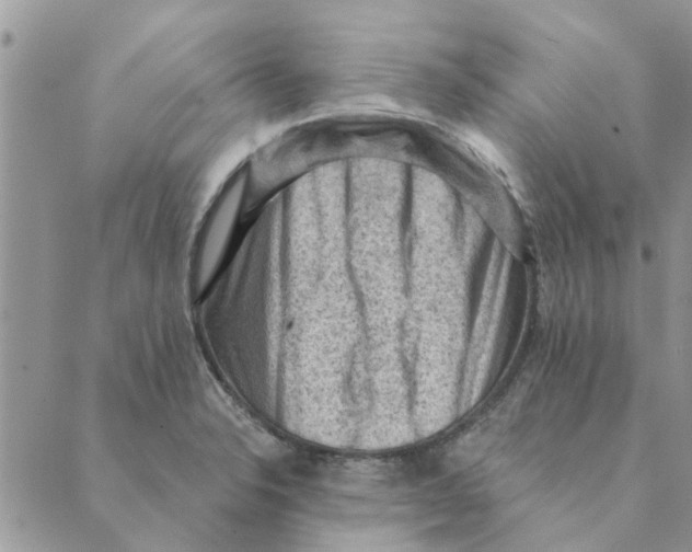 X0000088831326200707051412