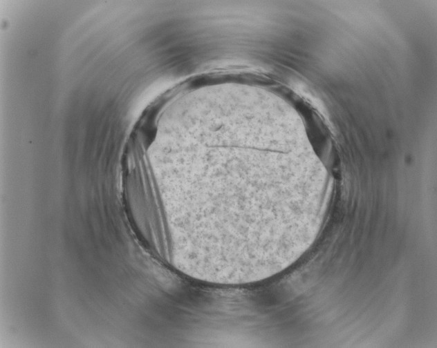 X0000088831328200707051412