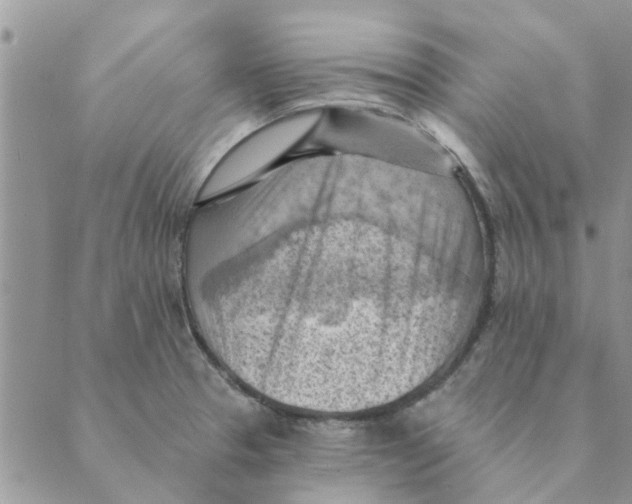 X0000088831329200707051412