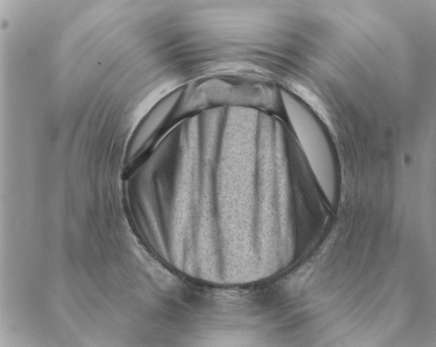 X0000088831330200707051412