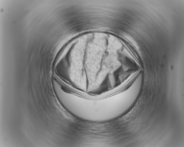 X0000088831332200707051412