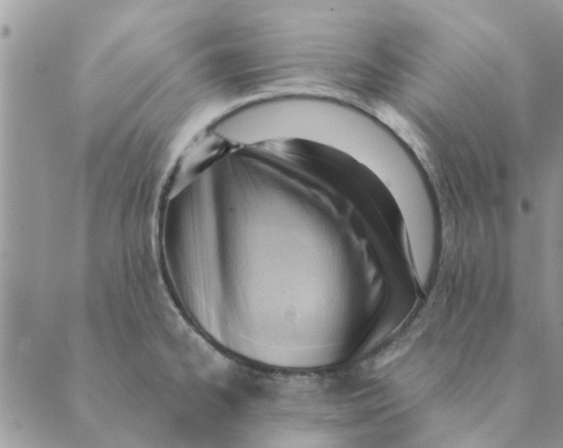 X0000088831334200707051412