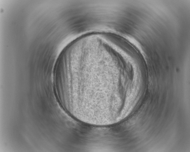 X0000088831335200707051412