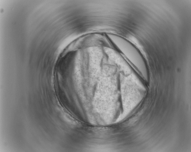 X0000088831336200707051412