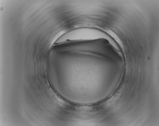 X0000088831337200707051412