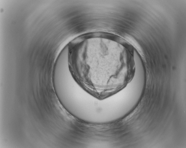 X0000088831340200707051412