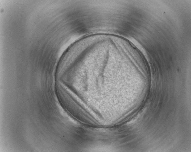 X0000088831341200707051412